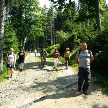 Zapraszamy na drugi, w tym roku wiosenny spacer edukacyjny.