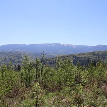Polana Czarownic – rajd pieszy