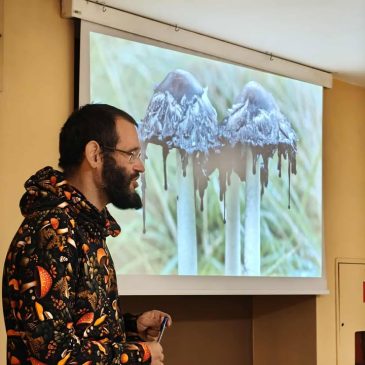 Fascynujące królestwo grzybów