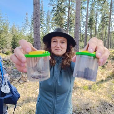 Tropami zwierząt – wycieczka do Karkonoskiego Parku Narodowego